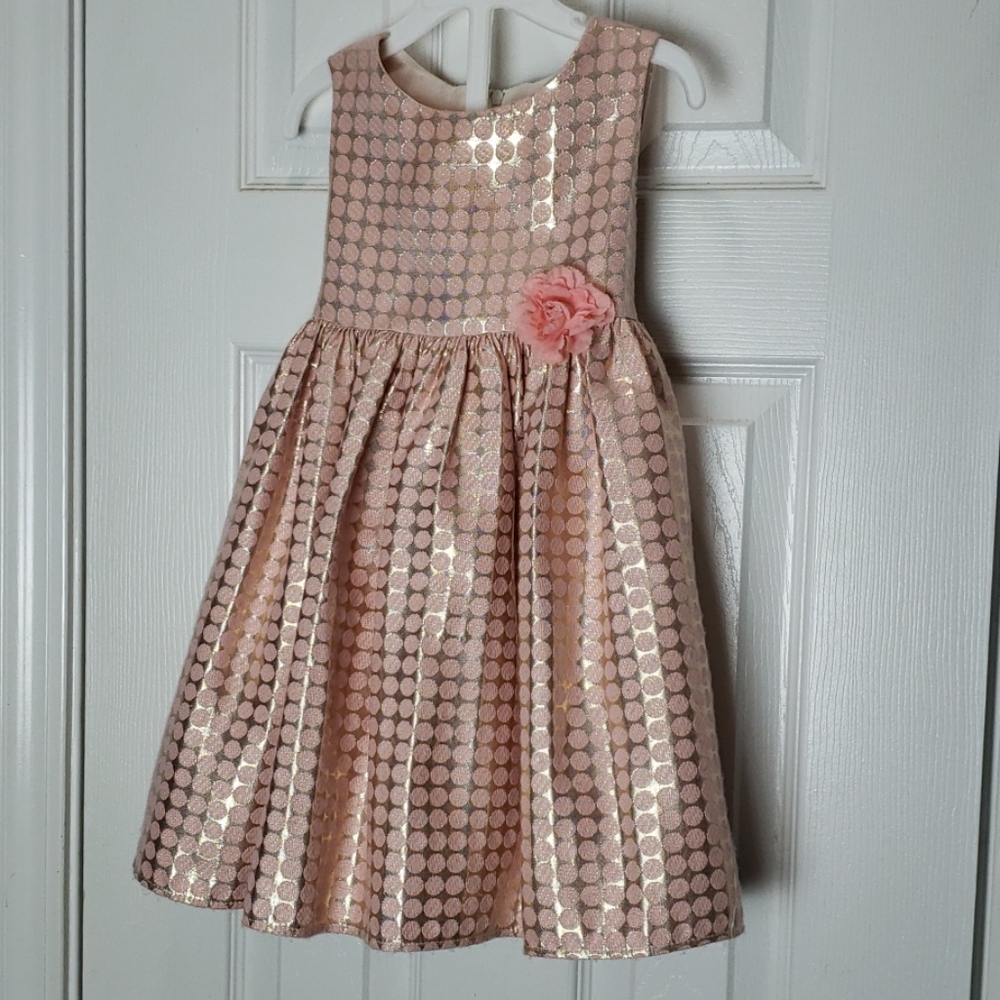 Blush Gold Dress